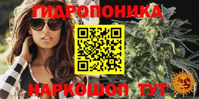сатива Нягань